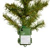 9' Prelit Norwood Fir Artificial Garland Warm White Lights - National Tree Company - 4 of 4