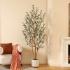 DR.Planzen 5-7FT Artificial Olive Tree with Oval White Planter, Faux Olive Tree with Realistic Leaves and Natural Trunk for Home Decor - 2 of 4