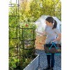 Gardeners Supply Company Titan Tomato Cages I Sturdy Steel Core Plant Support Trellis Cage Protection for Climbing Plants, Vegetable Garden & Tomato - 3 of 4