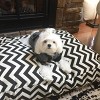 Majestic Pet Chevron Rectangle Dog Bed - 2 of 4