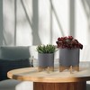 Gulches Set of 2 Planters with Wooden Stand, Matte Gray, 7.75x7.75x10.5" & 10x10x12" - 2 of 4