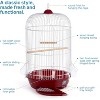 Prevue Pet Products SP31999G Classic Round Bird Cage, Green,1/2" - 4 of 4