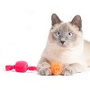 Hauspanther Taffy Rolls Cat Toys by Primetime Petz Playtime Pleasures for Every Furry Friend - 4 of 4