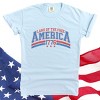 Simply Sage Market Land Of The Free America Curved Garment Dyed Tee - 2XL - Chambray - 3 of 4
