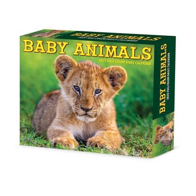 Willow Creek Press Baby Animals 2025 Box Calendar: Daily Desktop, 5x6", All Ages, Blue, Paper, January-December