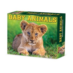 Willow Creek Press Baby Animals 2025 Box Calendar: Daily Desktop, 5x6", All Ages, Blue, Paper, January-December - 1 of 4