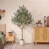 DR.Planzen 6/7/8FT Single-Trunk Artificial Olive Tree in White Oval Planter, Slim Faux Tree Fake Olive Plant for Indoor/Outdoor Home Decor - 2 of 4