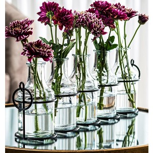 Le'raze 5pc Glass Flower Vases with Black Metal Holder - 1 of 4