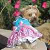 Doggie Design Pink and Blue Plumeria Floral Dog Dress - 4 of 4