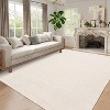 Acekool Washable Area Rug, Non-Slip Modern Carpet for Living Room, Bedroom, Dining Room, Playroom, Office, Low Pile, Soft - 3 of 4