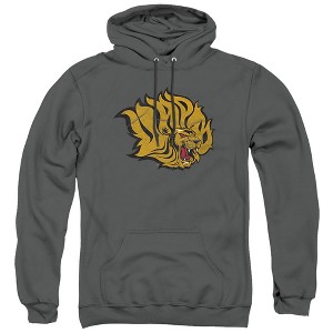 University of Arkansas at Pine Bluff Official Distressed Primary Adult Pull-Over Hoodie - 1 of 4