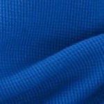 bright cobalt vine embroidery