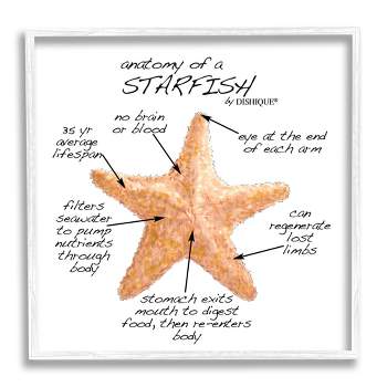 Stupell Industries Sand Is The New Snow Nautical Winter Starfish 30x40 XXL Stretched Canvas Wall Art