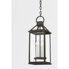 Troy Lighting Sanders 4 - Light Pendant in  Black Clear Shade - 2 of 4