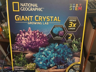 National Geographic Crystal Garden Science Kit : Target