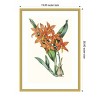 Amanti Art Paxton Tropicals IV by Jennifer Paxton Parker Wood Framed Wall Art Print - 3 of 4