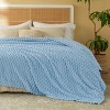 Bedsure Blanket for Bed - Super Soft, Cozy Blankets for Women, Cute Fleece - 2 of 4