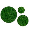Alilang 24.00 Inch Set of Three Round Moss Wall Art with Natural Green Preserved Moss in Wooden Frames - Green - 3 of 4