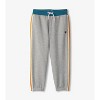 Boy's Athletic Baggy Track Pants - Hatley - 2 of 2