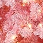 pink gradient