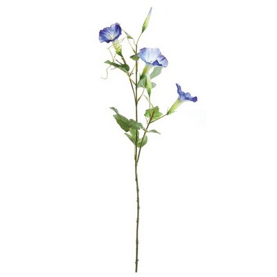 Plum & Post Morning Glory Stem 24"