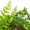 Northlight Fern Leaf Artificial Springtime Wreath, Green - 18-Inch - 4 of 4