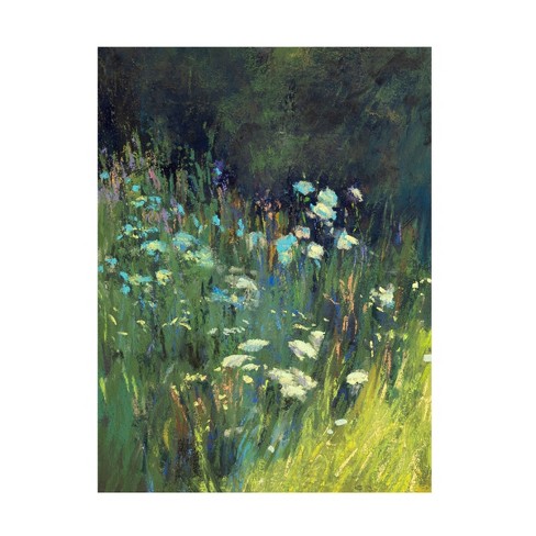 Trademark Fine Art - Carol Strock Wasson Wildflowers Canvas Art - image 1 of 4