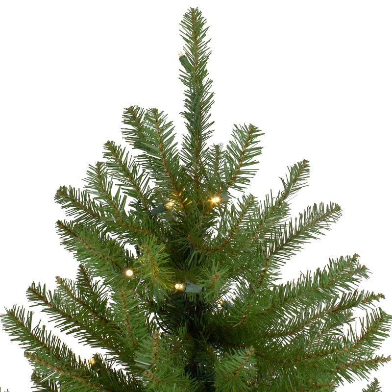 Northlight 12' Pre-lit Northern Pine Full Artificial Christmas Tree - Warm Clear LED Lights, 4 of 7