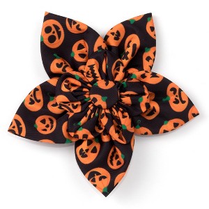 The Worthy Dog Jack-O-Lantern Flower Adjustable Collar Attachment Accessory - 1 of 1