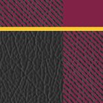 arizona state sun devils