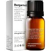 Gya Labs Bergamot Essential Oil 100% Pure Natural - 2 of 4