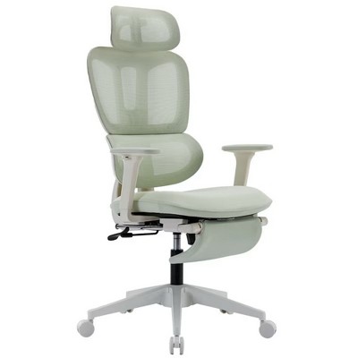 Dsvimoy Task and Office Chair Multi-functional Ergonomic Mesh Chair with Lumbar Support for Office, Green, 24.41"*13.78"*22.83"