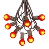 Novelty Lights 100 Feet G30 Globe Outdoor Patio String Lights, Brown Wire - 2 of 4
