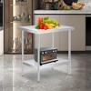 Stainless Steel Storage Table with Gloves, Cloth, Full Stainless Steel Work Table, Heavy Duty Durable Metal Storage, Food Prep Table - 2 of 4