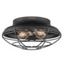 Millennium Lighting Neo-Industrial 2 - Light Flush Mount in  Matte Black - 4 of 4