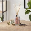 100ml Glass Reed Diffuser Lavender & Eucalyptus - Threshold™: Aromatherapy, No Battery Needed, 8.5" Height - image 2 of 3