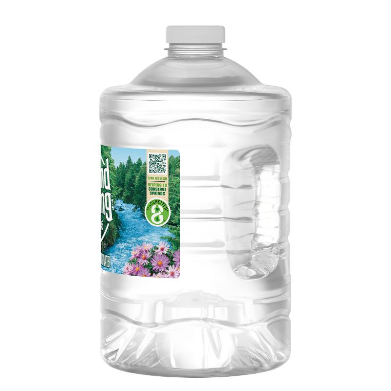 Poland Spring Brand 100% Natural Spring Water - 101.4 fl oz Jug, 5 of 10