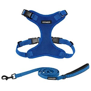 Voyager Step-In Lock Adjustable Dog & Cat Harness and 5ft Leash Combo - 1 of 4