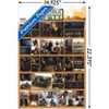Trends International Star Wars: The Book of Boba Fett - Chapter 3 Unframed Wall Poster Prints - 3 of 4