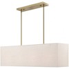 Livex Lighting Summit 4 - Light Chandelier in  Antique Brass - 4 of 4