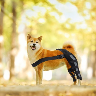 Pet Dog Knee Brace Adjustable Size Reflective Design Elastic Shoulder Strap Hind Legs Protective Cover