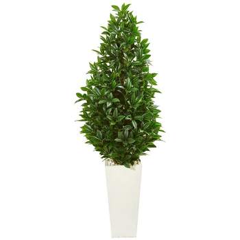 Nearly Natural 63-in Bay Leaf Cone Topiary Artificial Tree in White Planter (Indoor/Outdoor)