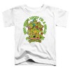 Toddler Boys' Teenage Mutant Ninja Turtles St. Patrick's Day Who Needs Luck T-Shirt - 2 of 4