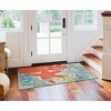 Liora Manne Ravella Coastal Indoor/Outdoor Rug.. - 2 of 4