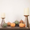 Northlight Fall Harvest Boxed Pumpkin Thanksgiving Decorations - Orange and Green - Set of 6 - image 2 of 4