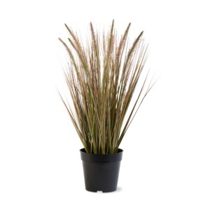 tagltd Cattail Grass - 1 of 3