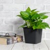 Naysaye 5PCS Square Nursery Plant Pot, 5.5” Width Garden Pots with Drainage Hole, Black, 5.5“*5.5”*4.7“ - 2 of 4