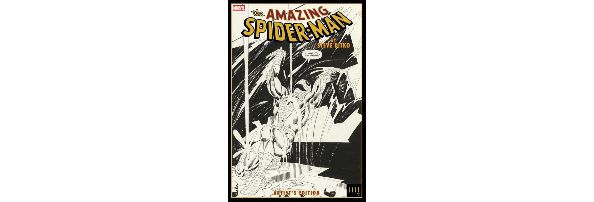 The Amazing Spider-Man by Steve Ditko Artist's Edition - by  Stan Lee (Hardcover)