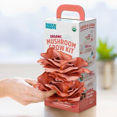 Back to the Roots Organic Mushroom Grow Kit Pink Oyster