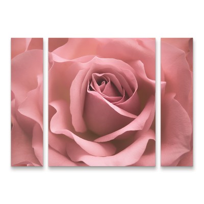 Pink Rose Botanical Mixed Media Canvas Art Set
